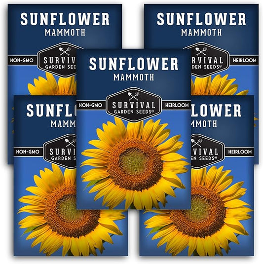 Survival Garden Seeds - Mammoth Sunflower Seed for Planting - 5 Packs with Instructions to Plant and Grow Enormous Colorful Flowers in Your Home Flower or Vegetable Garden - Non-GMO Heirloom Variety