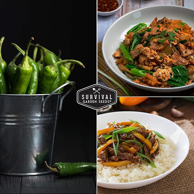 Survival Garden Seeds - Serrano Pepper Seed for Planting - 2 Packs with Instructions to Plant and Grow Spicy Mexican Peppers in Your Home Vegetable Garden - Non-GMO Heirloom Variety