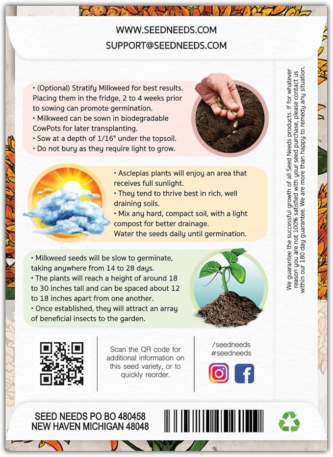 Seed Needs Orange Butterfly Milkweed Seeds for Planting - Heirloom & Untreated - Grow a Butterfly Garden to Attract Monarch Butterflies & Pollinators (1 Pack)