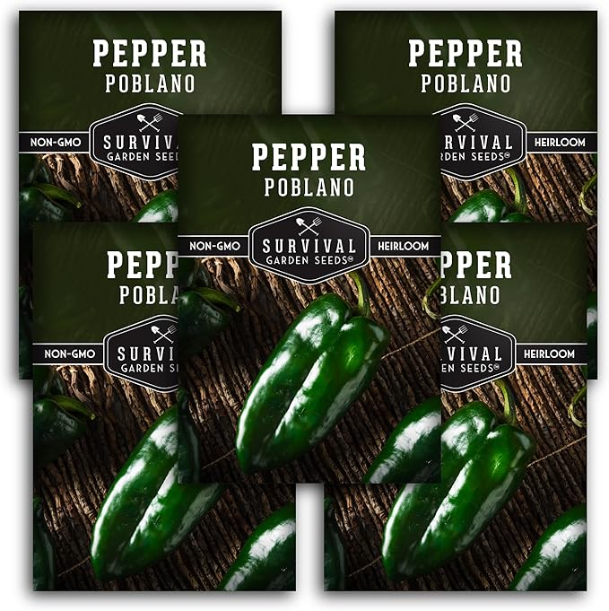 Poblano Pepper Seed for Planting - 5 Packets with Instructions to Plant and Grow Ancho Chiles in Your Home Vegetable Garden - Non-GMO Heirloom Variety - Survival Garden Seeds