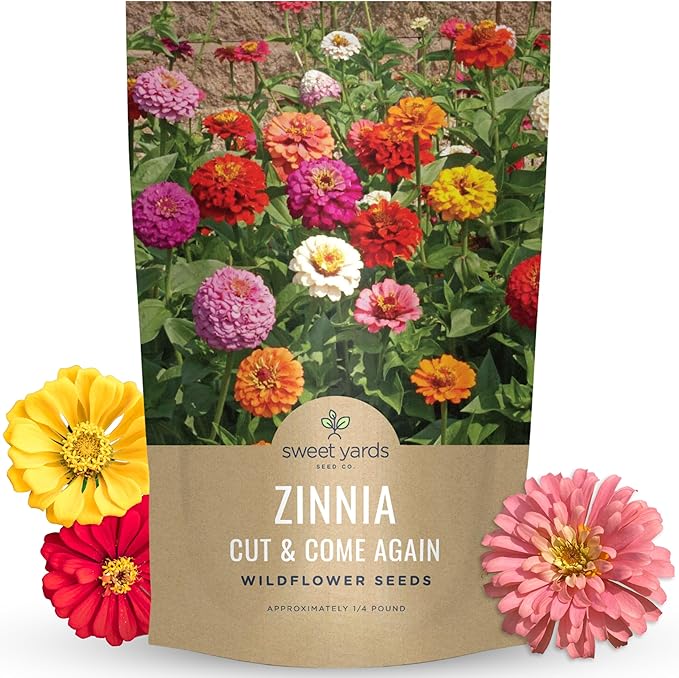 Zinnia Cut & Come Again Mix - Bulk 1/4 Pound Pouch - 15,000 Flower Seeds for Planting - Zinnia elegans