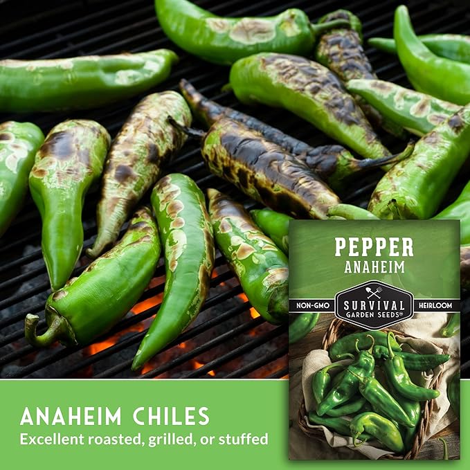 Survival Garden Seeds Anaheim Chili Pepper Seed for Planting - 5 Packets with Instructions to Plant & Grow Mild to Medium Hot Chile Peppers in Your Home Vegetable Garden - Non-GMO Heirloom Variety