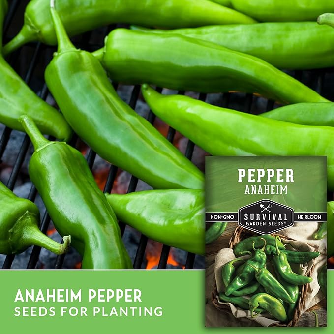 Survival Garden Seeds Anaheim Chili Pepper Seed for Planting - 1 Packet with Instructions to Plant & Grow Mild to Medium Hot Chile Peppers in Your Home Vegetable Garden - Non-GMO Heirloom Variety