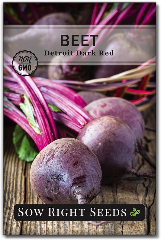 Sow Right Seeds - Detroit Dark Red Beet Seeds for Planting - Non-GMO Heirloom Packet with Instructions to Plant & Grow an Outdoor Home Vegetable Garden - Nutritious, Cold Hardy, and Productive (1)