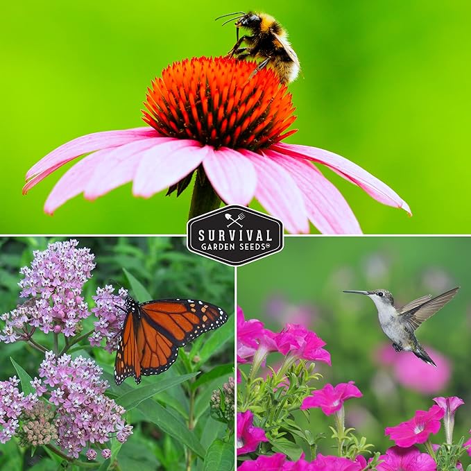 Survival Garden Seeds Pollinator Flower Collection - 3 Seed Packs for Planting & Attracting Butterflies, Bees, Hummingbirds - Nectar & Pollen Rich Perennial & Annual Wildflowers - Non-GMO Heirloom