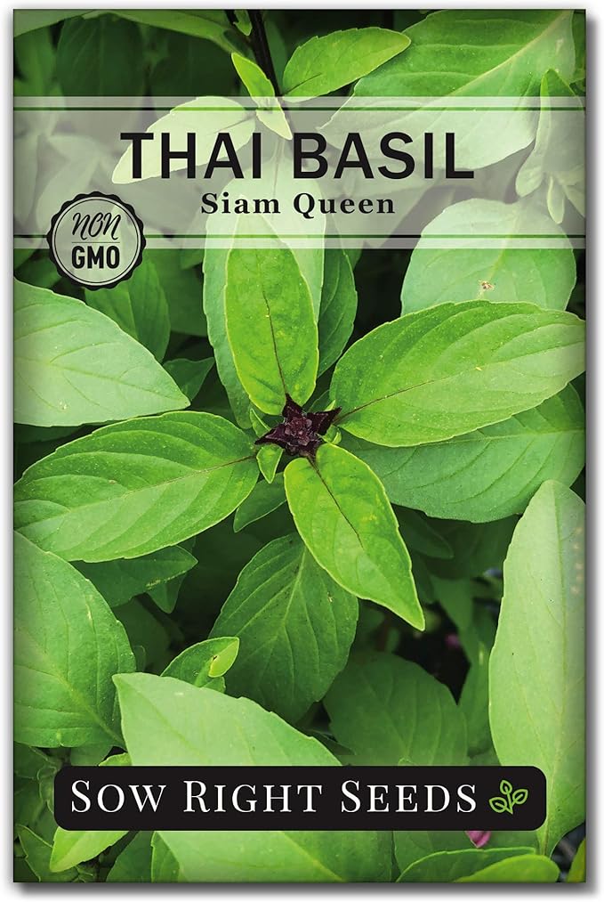 Sow Right Seeds - Sweet Large Leaf Thai Basil Seed for Planting - Non-GMO Heirloom Packet with Instructions to Plant a Kitchen Herb Garden - Indoors or Outdoor - Great for Hydroponic Growing (1)