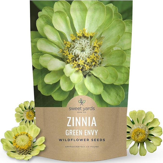 Zinnia Green Envy - Bulk 1/4 Pound Pouch - 15,000 Flower Seeds for Planting - Zinnia elegans