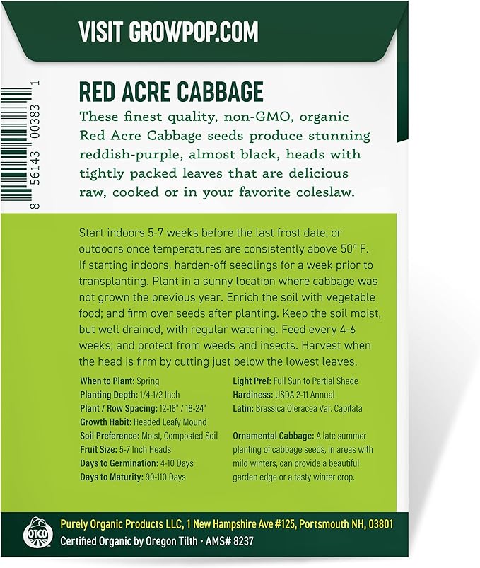 Organic Cabbage Seeds (Red Acre) - Approx 750 Seeds - Certified Organic, Non-GMO, Open Pollinated, Heirloom, USA Origin