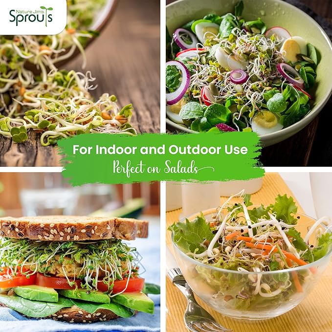 Nature Jims Sprouts Salad Sprout Mix - Organic Salad Mix for Growing - Non-GMO Microgreen Seeds - Healthy Broccoli, Alfalfa, Radish, Clover Sprouting Seeds Variety Mix - Microgreens Growing 1lb