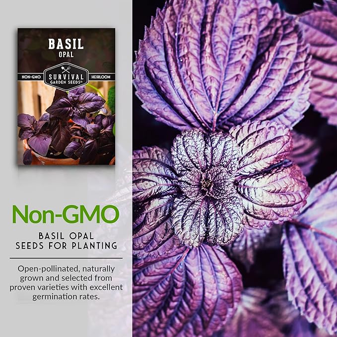 Survival Garden Seeds - Opal Basil Seed for Planting - Packet with Instructions to Plant and Grow Delicious & Unique Purple Basil Herb Plants in Your Home Vegetable Garden - Non-GMO Heirloom Variety