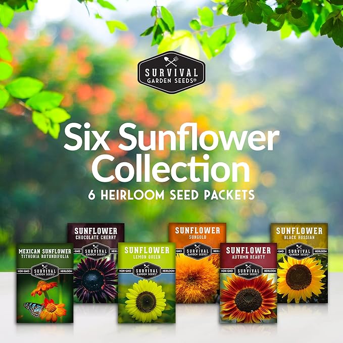 Survival Garden Seeds Sunflower Collection - Autumn Beauty, Black Russian, Chocolate Cherry, Sungold, Lemon Queen, & Mexican Sunflower Varieties - Non-GMO Heirloom Seeds for Planting & Growing