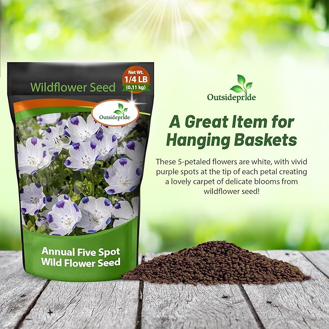 Outsidepride 1/4 lb. Annual Nemophila Five Spot Wild Flower Seeds for Planting