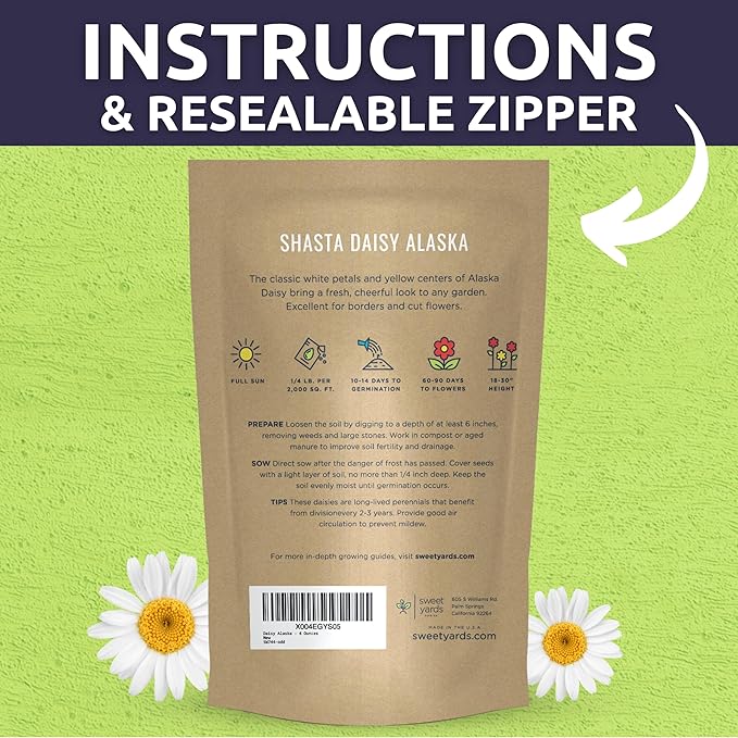 Shasta Daisy Alaska - Bulk 1/4 Pound Pouch - 100,000 Flower Seeds for Planting - Leucanthemum × superbum