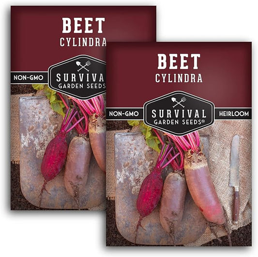 Survival Garden Seeds - Cylindra Beet Seed for Planting - 2 Packs with Instructions to Plant and Grow Dark Red Beets in Your Home Vegetable Garden - Non-GMO Heirloom Variety - Seed Planting Vegetable