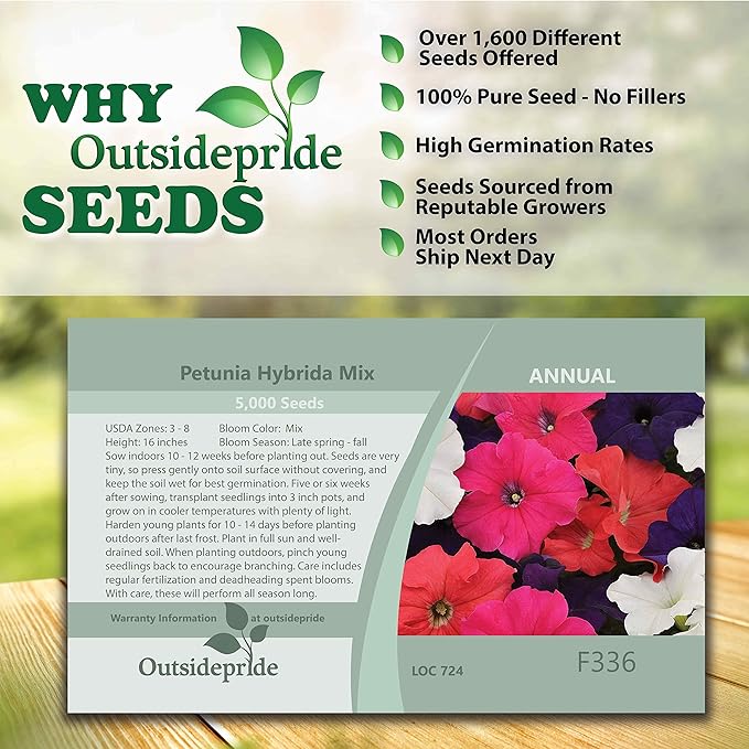 Outsidepride 5000 Seeds Annual Petunia Hybrida Flower Seed Mix for Planting