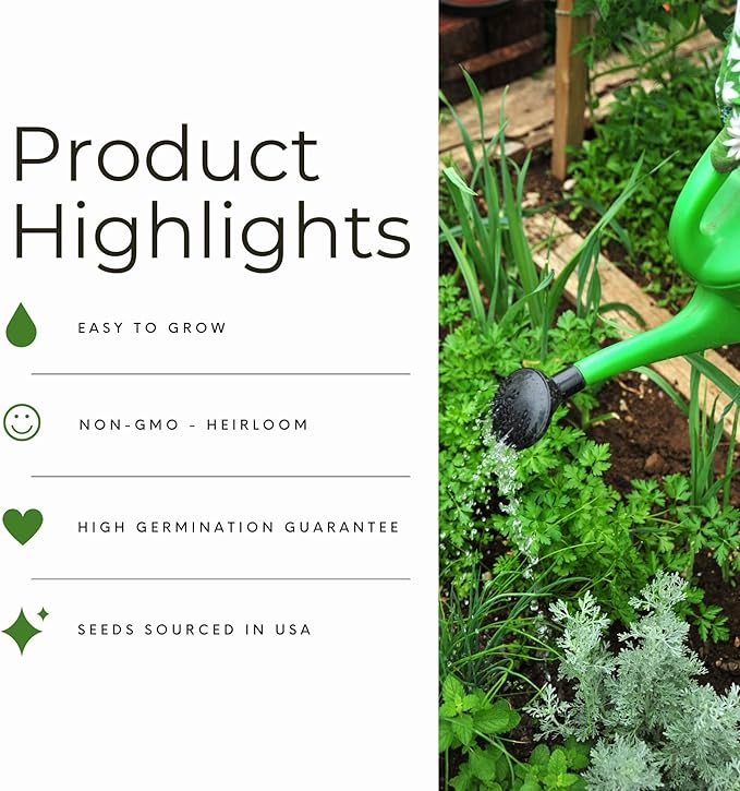 National Pickling Cucumber Seeds for Planting - Over 90 Heirloom Cucumber Seed Pack - Non-GMO Pickling Cucumbers for Planting Indoors or Outdoors