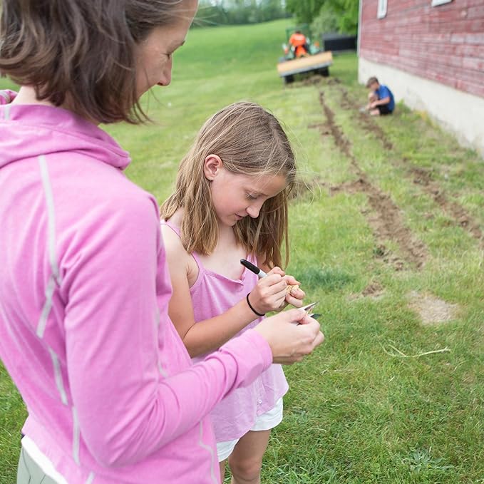 Bentley Thank You Packet - Gracias, Mammoth Sunflower - 25 Packets - Perfect Thank You Gift, Spanish - Non GMO Seeds
