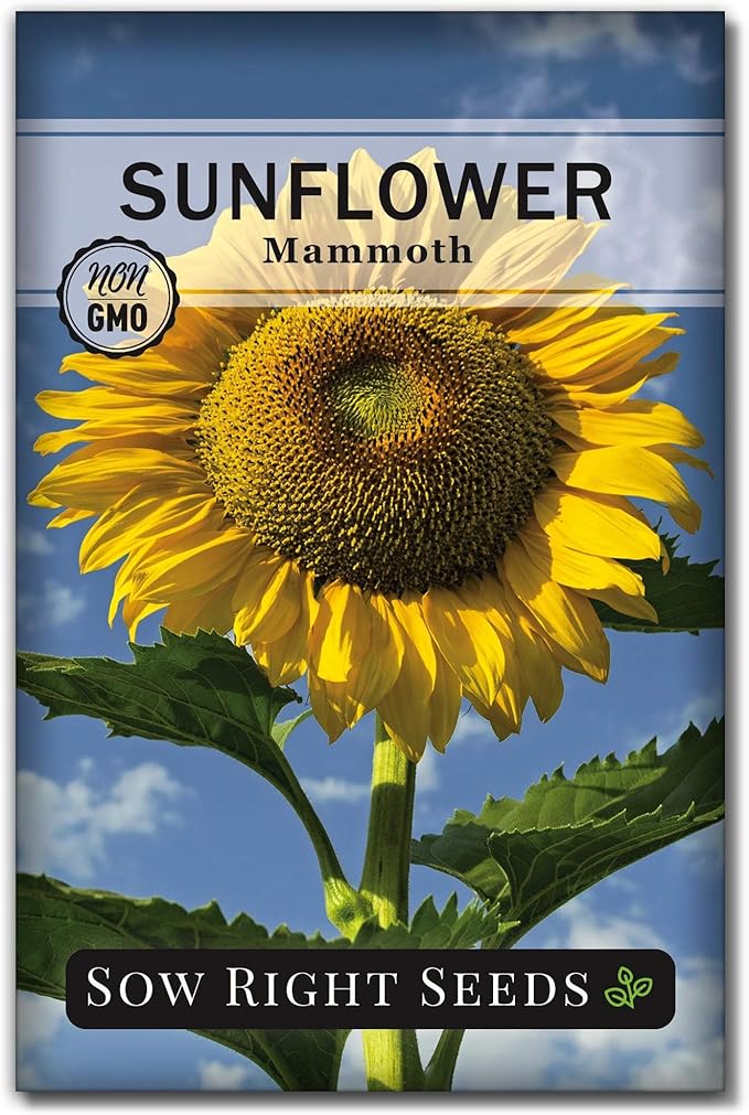 Sow Right Seeds - Mammoth Sunflower Seeds to Plant - Grow Giant Sunflowers in Your Garden - Non-GMO Heirloom Seeds for Planting an Outdoor Garden - Bright Yellow Blooms - Attract Bees and Birds (1)