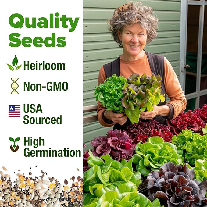 HOME GROWN 8 Lettuce & Salad Greens Seed Vault - 4,000+ Non-GMO Vegetable Seeds for Outdoors or Indoors - Seeds for Planting Hydroponic Garden