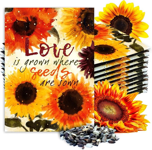 Seed Needs, Sunflower Seed Packet Party Favors - Pre-Filled Packs to Hand Out (Great for Weddings, Bridal Showers, Memorials, Fundraisers & Other Events) Heirloom & Untreated (20 Packets)