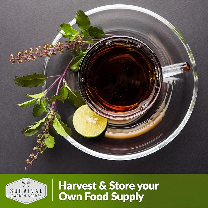 Survival Garden Seeds - Holy Basil Seed for Planting - 2 Packs with Instructions to Plant and Grow The Indian Sacred Herb Tulsi in Your Home Vegetable Garden - Non-GMO Heirloom Variety - Basil Plant