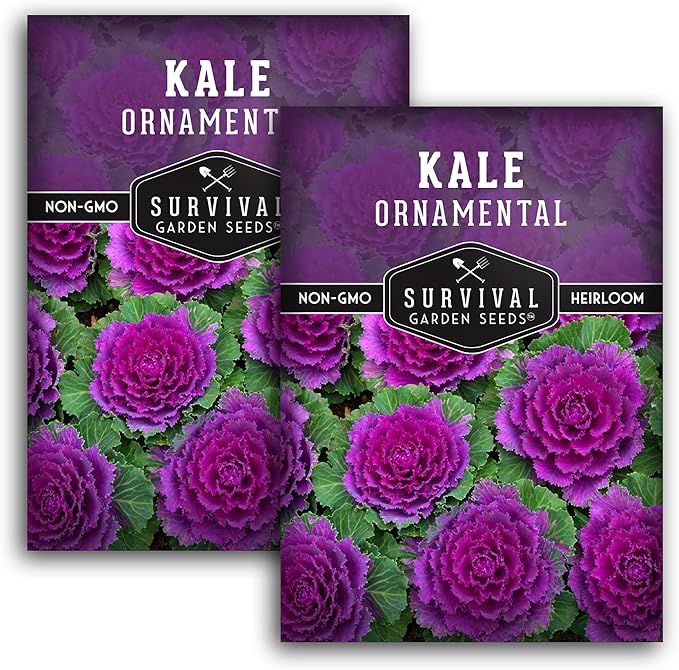 Ornamental Kale Seed for Planting - 2 Packets with Instructions for Growing Ornamental Flowering Kale Plants in Your Home Vegetable Garden - Non-GMO Heirloom Variety - Survival Garden Seeds