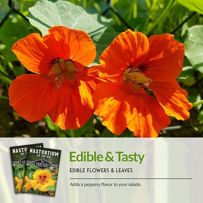 Survival Garden Seeds - Tip Top Mix Nasturtium Seeds - 2 Packs with Instructions to Plant and Grow Edible Flowers & Companion Plants in Your Home Vegetable Garden - Non-GMO Heirloom Variety