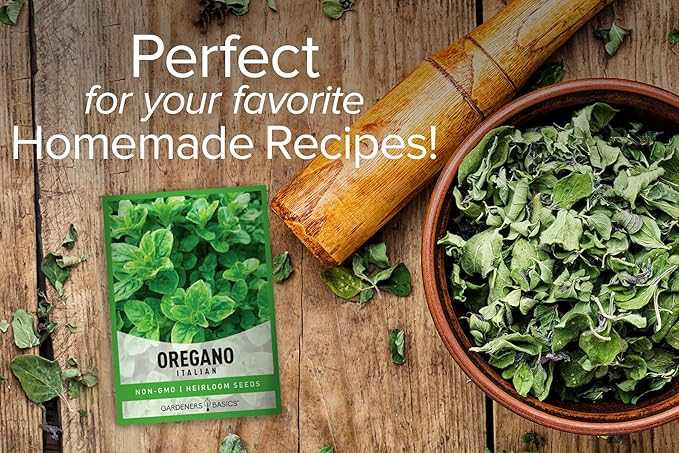 Gardeners Basics, Oregano Seeds for Planting Heirloom Non-GMO Herb Plant Seeds for Home Herb Garden Makes a Great Gift for Gardening