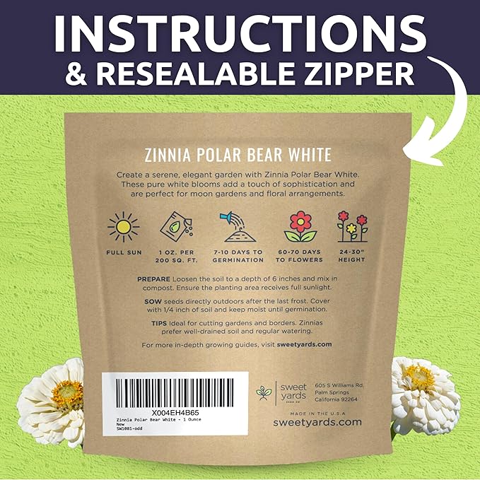 Zinnia Polar Bear White - Large 1 Ounce Packet - 4,000 Flower Seeds for Planting - Zinnia elegans