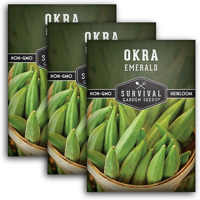 Survival Garden Seeds - Emerald Okra Seed for Planting - Packet with Instructions to Plant and Grow Tender and Large Okra in Your Home Vegetable Garden - Non-GMO Heirloom Variety - 3 Pack