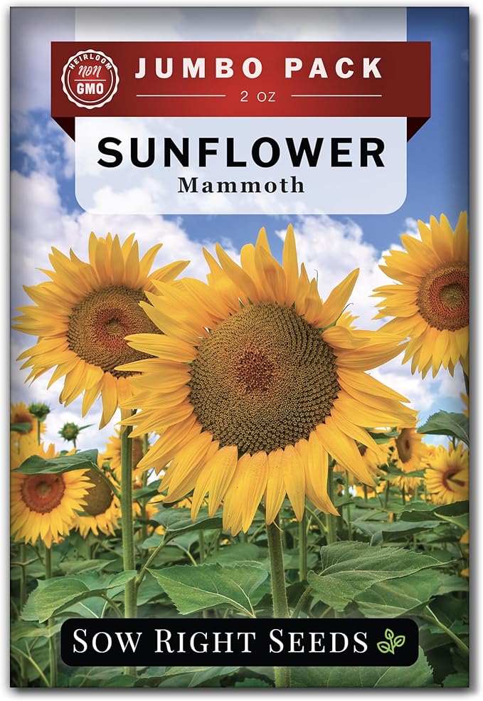 Sow Right Seeds - Mammoth Sunflower Seeds to Plant - 740 Seeds 2 Ounces - Grow Giant Sunflowers - Non-GMO Heirloom Bulk Jumbo Pack for Planting an Outdoor Garden - Abundant Harvest for Pollinators