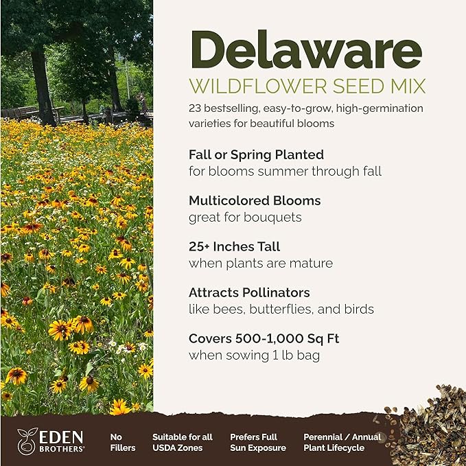 Eden Brothers Delaware Wildflower Mixed Seeds for Planting, 1 lb, 480,000+ Seeds with Sweet William, Candytuft | Attracts Pollinators, Plant in Spring or Fall, Zones