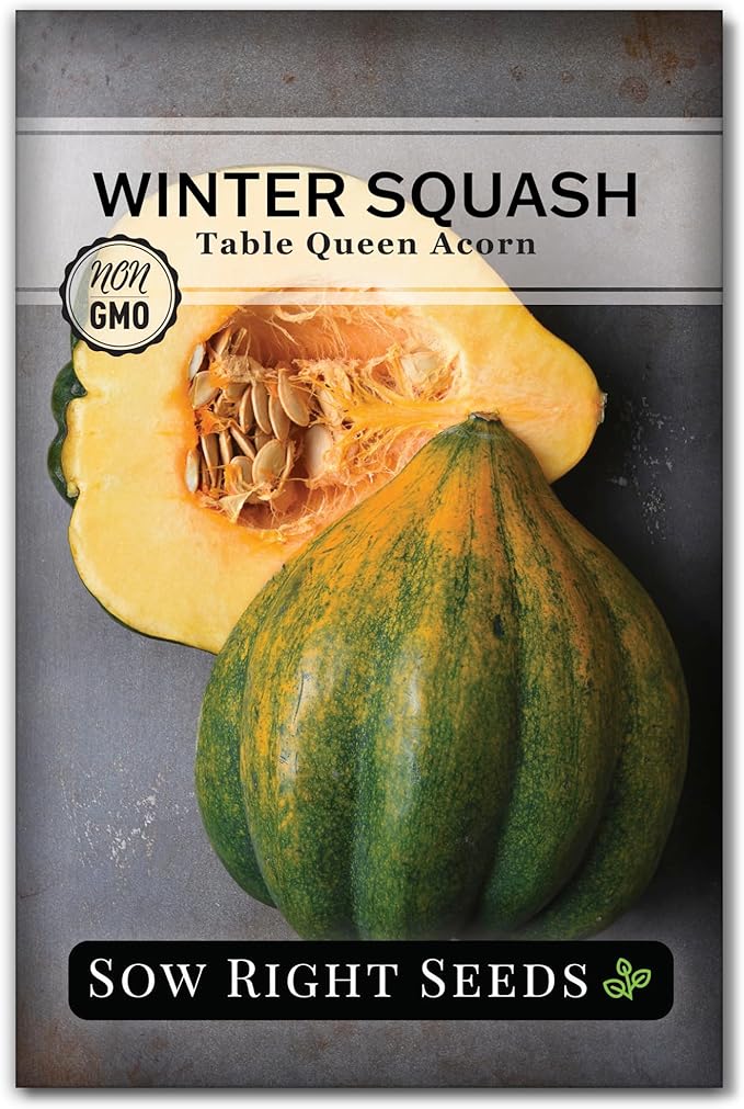 Sow Right Seeds - Winter Squash Seed Collection for Planting - Spaghetti, Waltham Butternut and Acorn Table Queen Squash Seeds, Non-GMO Heirloom Seeds to Plant a Home Vegetable Garden