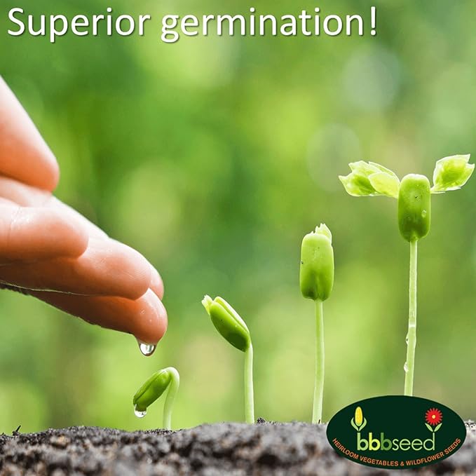 Monarch Butterfly Rescue Wildflower Seed Packet - 1oz, Open-Pollinated Wildflower, No Fillers, Annuals, Perennials and Milkweed Seeds for Monarch Butterfly 1oz