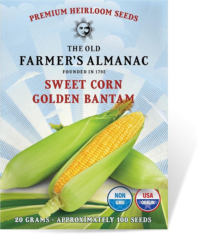 The Old Farmer's Almanac Heirloom Sweet Corn Seeds (Golden Bantam) - Approx 75 Seeds - Non-GMO, Open Pollinated, USA Origin