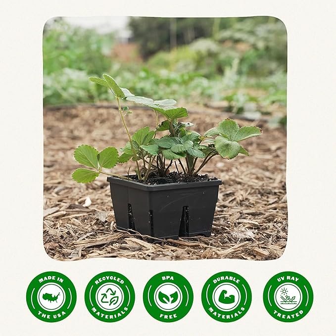 Epic Gardening Reusable Seed Starter Tray - 4 Cell 3"/8 Seedling Starter Trays - Easy Watering, Indoor Greenhouse, Plant Starter, Gardener-Friendly for Seedlings | UV-Treated & BPA-Free - Black