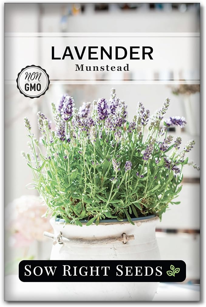 Sow Right Seeds - Dwarf Herb Seed Collection for Planting - Munstead Lavender, Greek Basil, Compact Dill, Roman Chamomile & Thyme to Grow a Home Garden - Compact Varieties - Grow Your Own Fresh Herbs