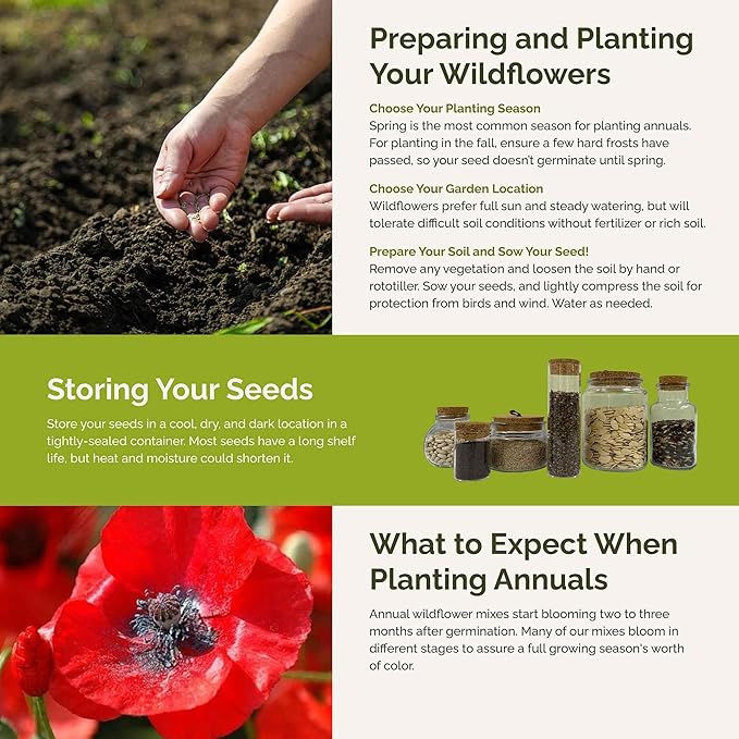 Eden Brothers Endless Summer Annual Succession Flower Mixed Seeds for Planting, 1/4 lb, 120,000+ Seeds with Cosmos | Attracts Pollinators, Plant in Spring or Fall, Zones 3, 4, 5, 6, 7, 8, 9, 10