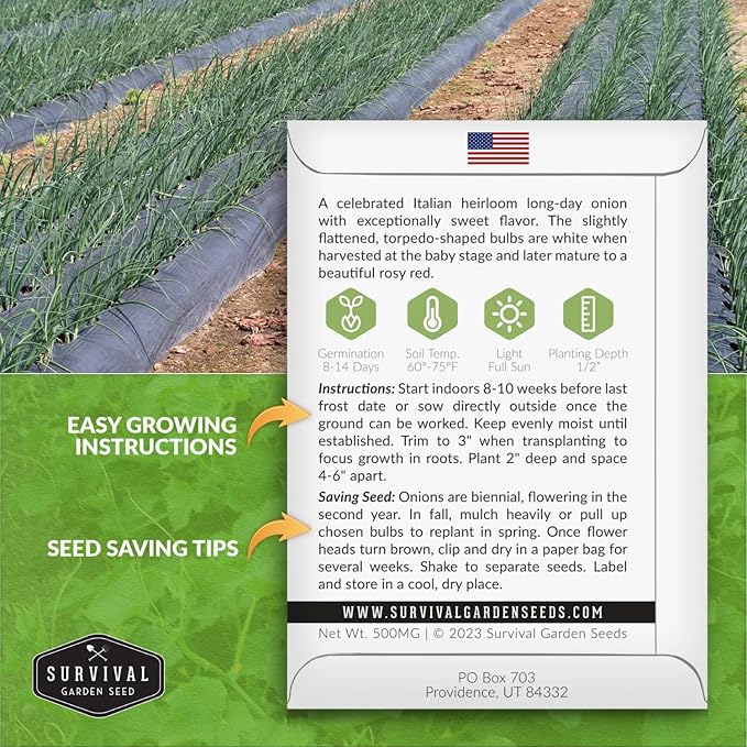 Tropea Rossa Tonda Onion Seeds for Planting - 5 Packets with Instructions to Plant and Grow Italian Long Day Onions in Your Home Vegetable Garden - Non-GMO Heirloom Variety - Survival Garden Seeds