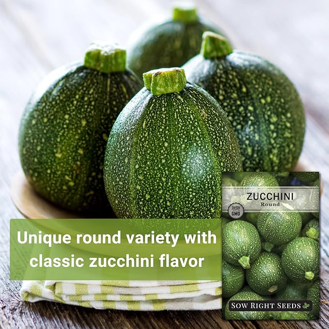 Sow Right Seeds - Round Zucchini Seed for Planting - Non-GMO Heirloom Packet with Instructions to Plant a Home Vegetable Garden - Unique Globe Squash - Summer Vining Variety (2)