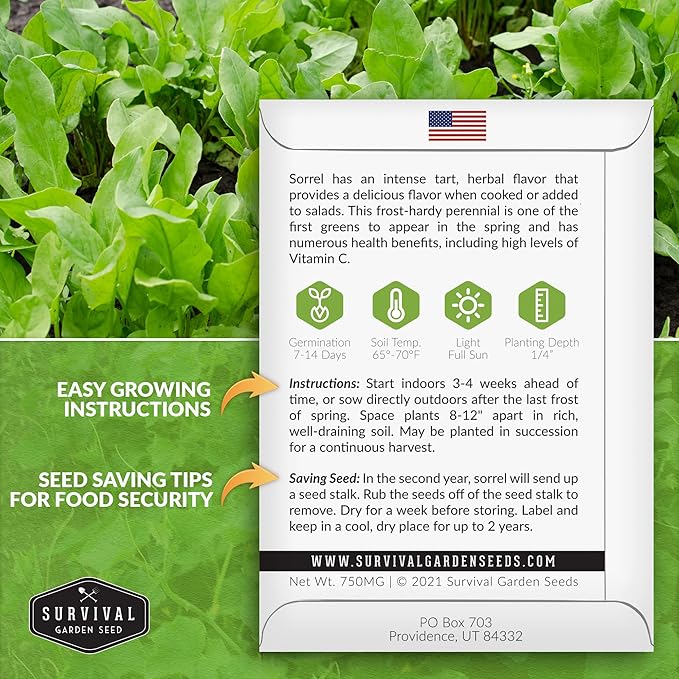 5 Packs Sorrel Seed for Planting - Packet with Instructions to Plant and Grow Rumex Acetosa Tangy Herb and Salad Greens in Your Home Vegetable Garden - Non-GMO Heirloom Variety - Survival Garden Seeds