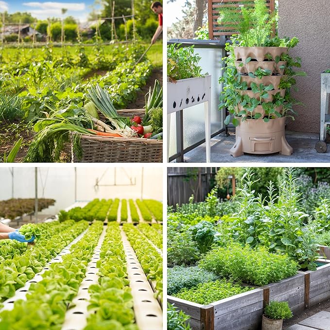 4000+ Salad Vegetable Seeds, 10 Varieties of Salad Veggies Seeds for Planting, Heirloom Seeds Gift Pack, Garden Seeds Kit for Indoor Outdoor Growing, Home Fresh Food Supply, Non-GMO