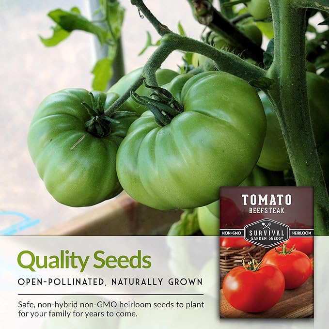 Survival Garden Seeds - Beefsteak Tomato Seed for Planting - Packet with Instructions to Plant and Grow Delicious Tomatoes in Your Home Vegetable Garden - Non-GMO Heirloom Variety - 2 Pack