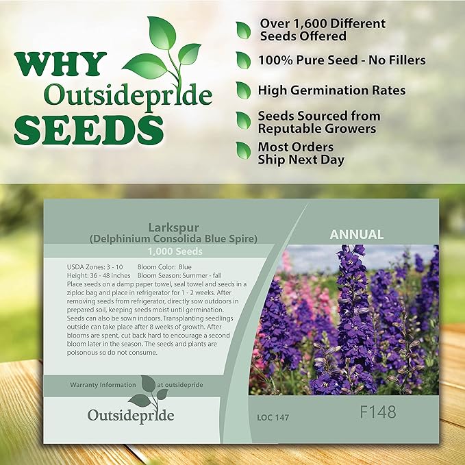 Outsidepride 1000 Seeds Delphinium Blue Larkspur Flower Seeds for Planting