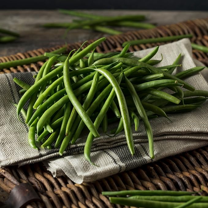Park Seed Derby Green Bean Organic Bush Seeds, Pack of 100 Seeds