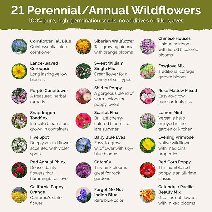 Eden Brothers Partial Shade Wildflower Mixed Seeds for Planting, 1/4 lb, 120,000+ Seeds with Sweet William, Foxglove | Attracts Pollinators, Plant in Spring or Fall, Zones 3, 4, 5, 6, 7, 8, 9, 10