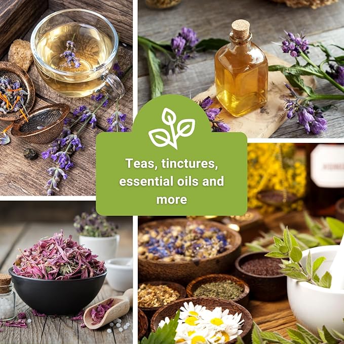 Sow Right Seeds - Medicinal Herb Seed Collection for Planting - Roman Chamomile, Echinacea, Lavender, Comfrey & Hyssop - Non-GMO Heirloom Seed - Grow Your own Home Remedies, Teas, & Tinctures