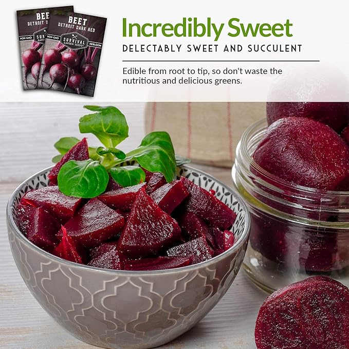 Survival Garden Seeds - Detroit Dark Red Beet Seed for Planting - 2 Packs with Instructions to Plant & Grow Delicious Root Vegetables in Your Home Vegetable Garden - Non-GMO Heirloom Variety Seed
