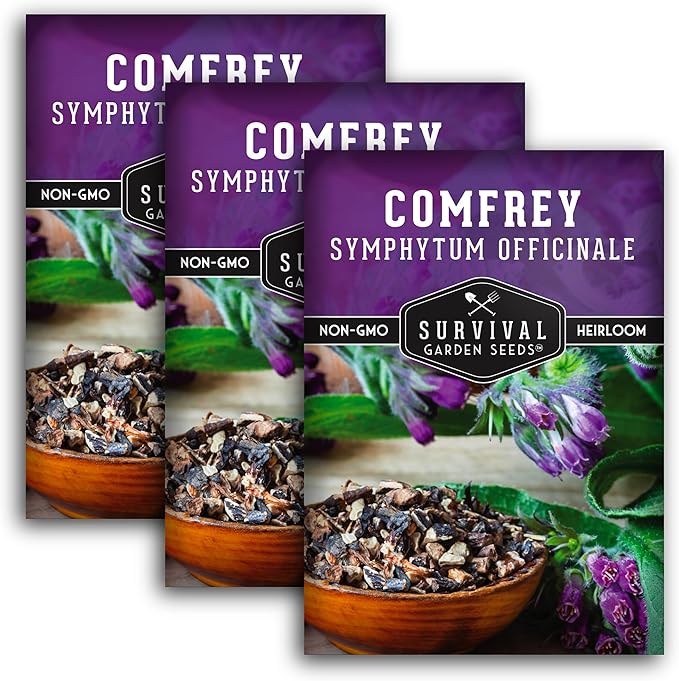 Survival Garden Seeds Comfrey Seed for Planting - 3 Packets with Instructions to Plant and Grow Slippery Root Plants in Your Home Herb Garden - Symphytum officinale - Non-GMO Heirloom Seed Variety