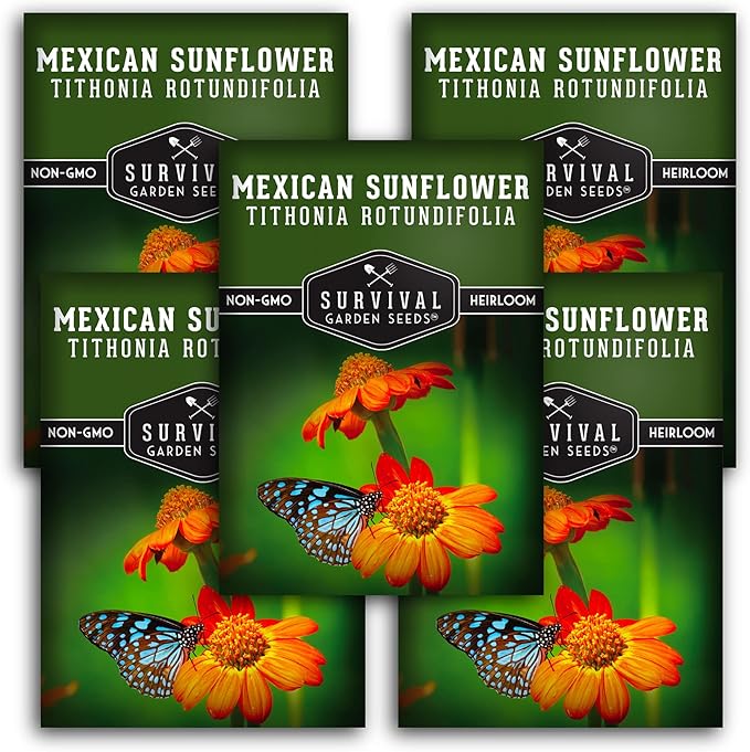 Survival Garden Seeds - Mexican Sunflower Seed for Planting - 5 Packs with Instructions to Plant and Grow Tithonia Rotundifolia in Your Home Vegetable or Flower Garden - Non-GMO Heirloom Variety
